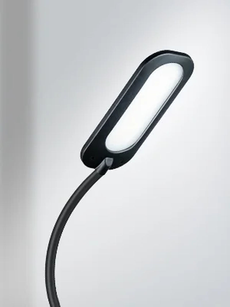 Floor Lamp, Dimmable Black Lamp with 5 Color& 4 Brightness and Adjustable Gooseneck