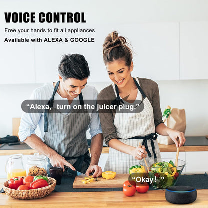 Smart Plug Mini Wifi Outlet with APP Control & Timer Function, Smart Plugs Work with Alexa & Google Assitant, 15A Smart Socket No Hub Required, ETL & FCC Certified(2.4Ghz Only, 2 Pack